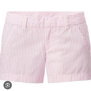 Cotton Chino Uniqlo Micro Shorts